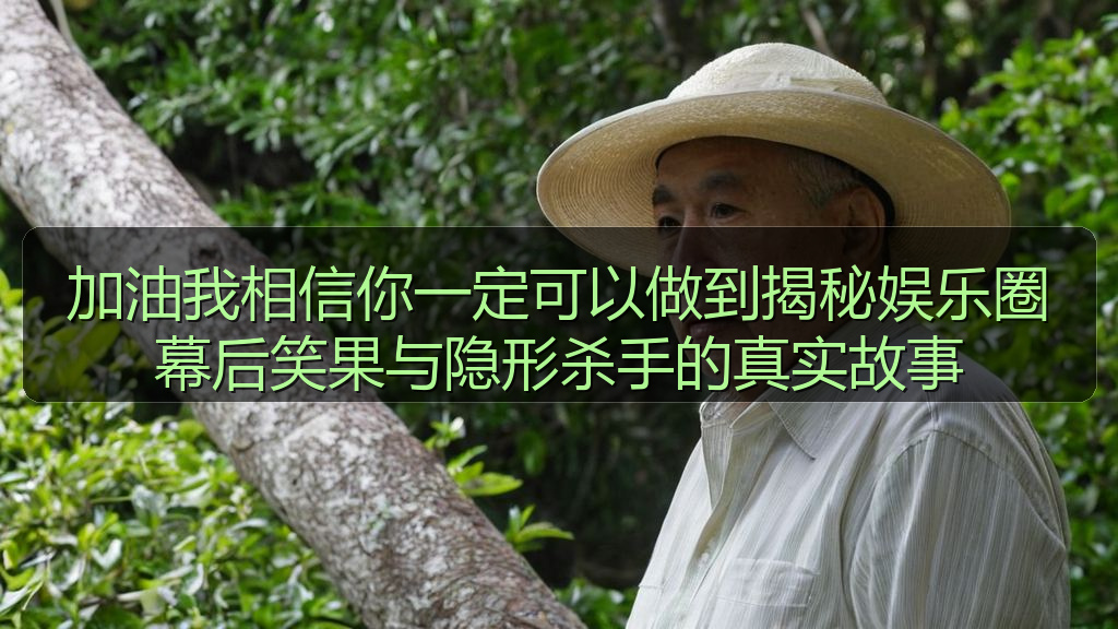 国产探花 - 加油我相信你一定可以做到揭秘娱乐圈幕后笑果与隐形杀手的真实故事